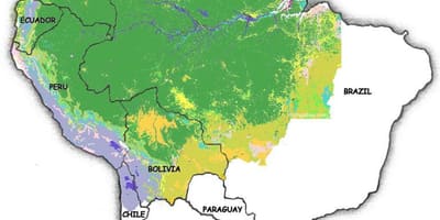 Карта Бразилии леса