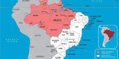 Малярия Бразилия карта